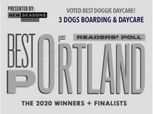 Voted Willamette Week's 2020 Portland's Best Doggie Daycare